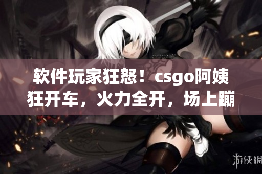 軟件玩家狂怒！csgo阿姨狂開車，火力全開，場上蹦迪如癡狂