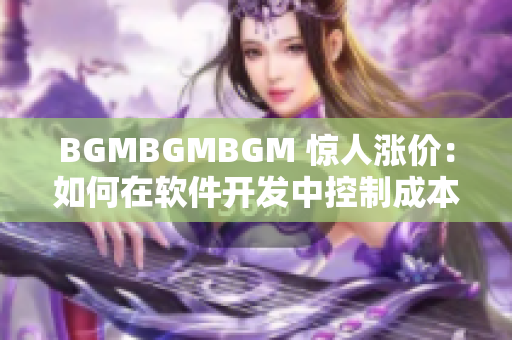 BGMBGMBGM 驚人漲價：如何在軟件開發(fā)中控制成本？