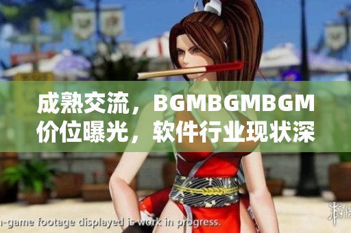 成熟交流，BGMBGMBGM價位曝光，軟件行業(yè)現(xiàn)狀深度分析