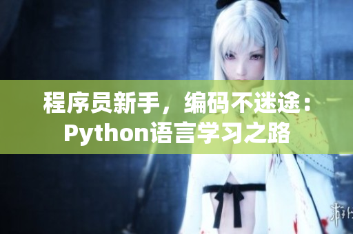 程序員新手，編碼不迷途：Python語言學(xué)習(xí)之路