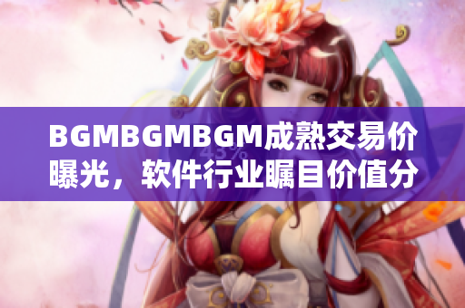 BGMBGMBGM成熟交易價曝光，軟件行業(yè)矚目價值分析