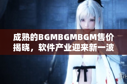 成熟的BGMBGMBGM售價(jià)揭曉，軟件產(chǎn)業(yè)迎來新一波挑戰(zhàn)