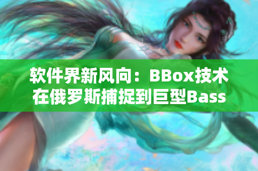 軟件界新風(fēng)向：BBox技術(shù)在俄羅斯捕捉到巨型BassFish！