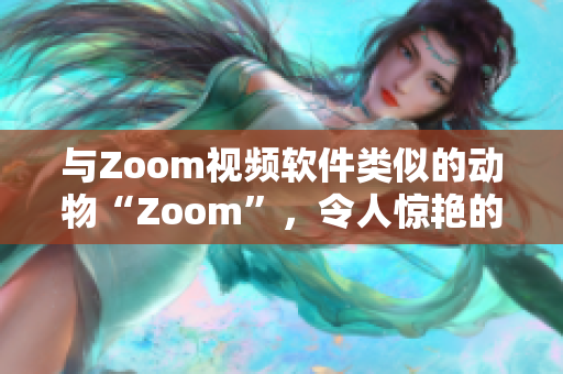 與Zoom視頻軟件類(lèi)似的動(dòng)物“Zoom”，令人驚艷的軟件功能解析