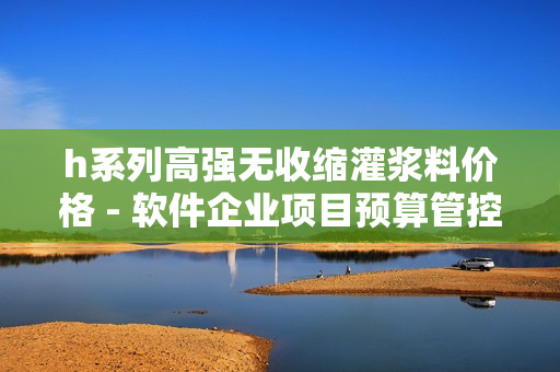 h系列高強無收縮灌漿料價格 - 軟件企業(yè)項目預算管控指南