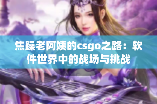 焦躁老阿姨的csgo之路：軟件世界中的戰(zhàn)場與挑戰(zhàn)