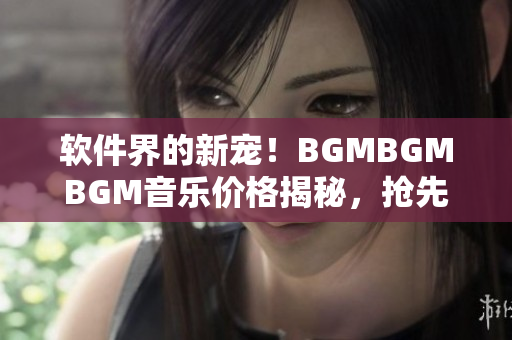 軟件界的新寵！BGMBGMBGM音樂價(jià)格揭秘，搶先分享最火的編程神器