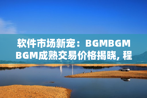 軟件市場新寵：BGMBGMBGM成熟交易價(jià)格揭曉, 程序員們快來瞧瞧!