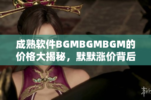 成熟軟件BGMBGMBGM的價格大揭秘，默默漲價背后的邏輯解析