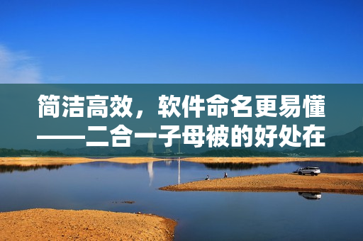 簡潔高效，軟件命名更易懂——二合一子母被的好處在軟件領(lǐng)域的應(yīng)用