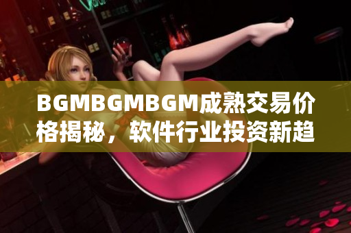 BGMBGMBGM成熟交易價格揭秘，軟件行業(yè)投資新趨勢揭示